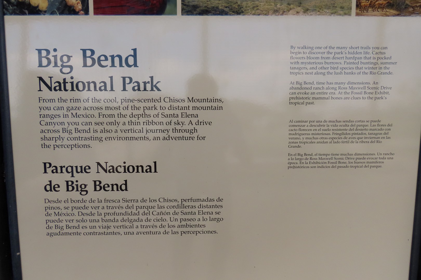 Big Bend National Park Panther Visitor Center in Texas  4 of  5 (#1574)