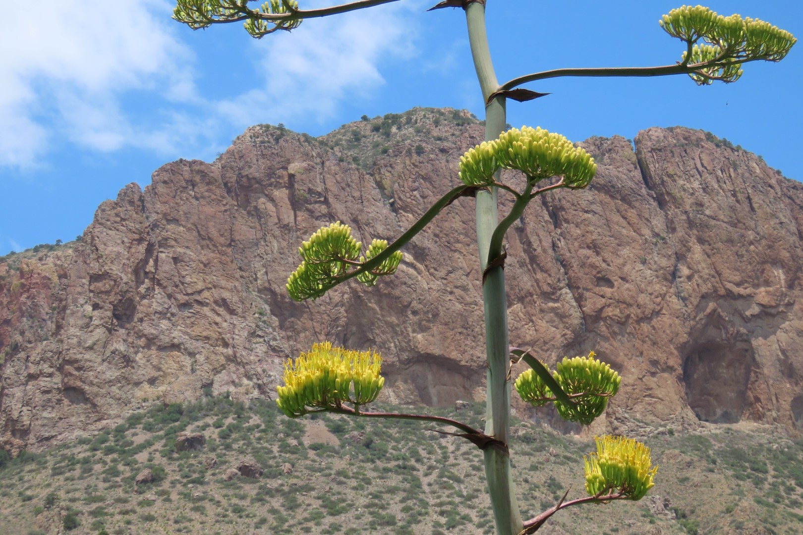Big Bend National Park Chisos Basin Visitor Center in Texas 14 of 19 (#1590)