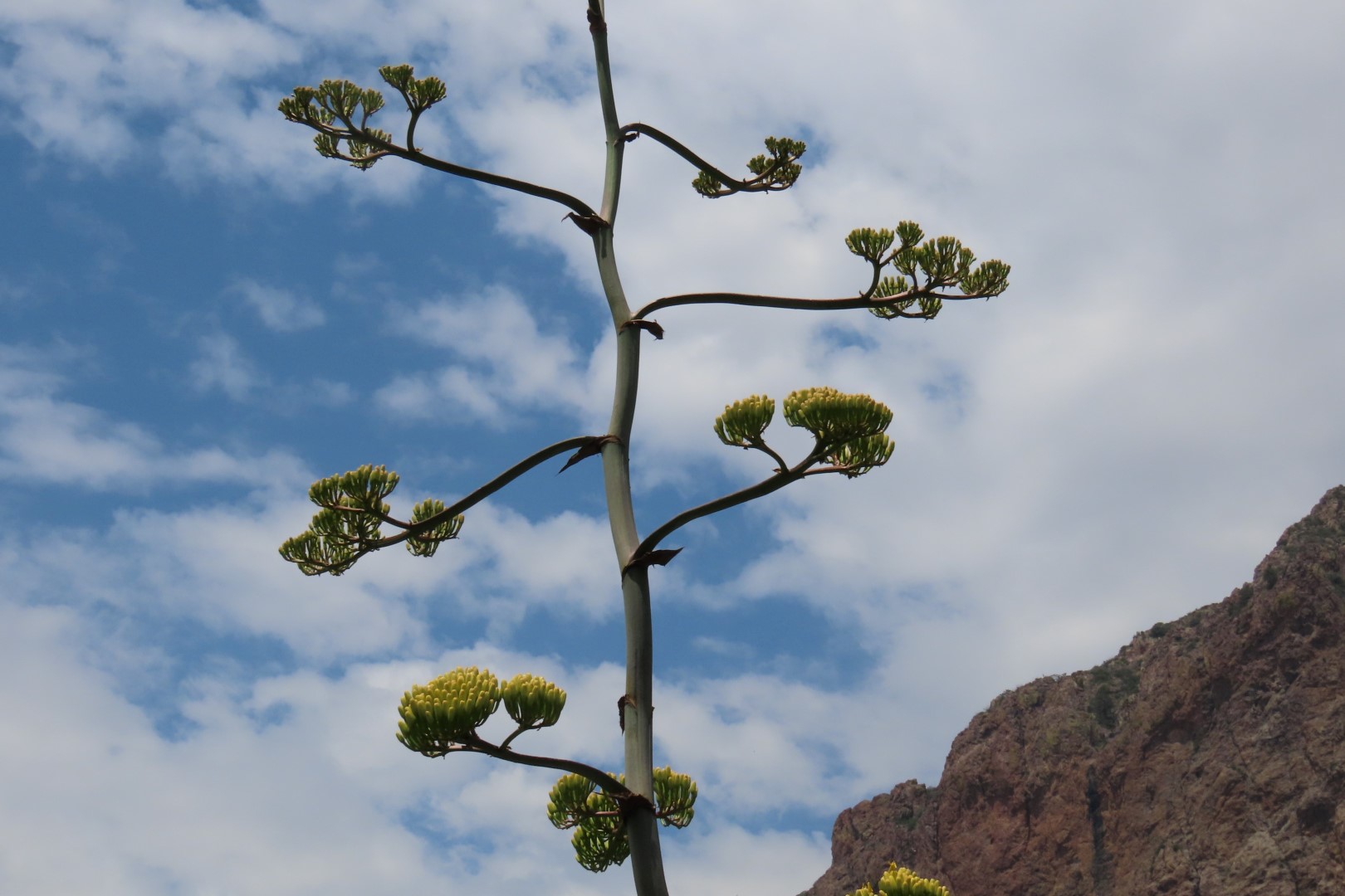 Big Bend National Park Chisos Basin Visitor Center in Texas 15 of 19 (#1591)