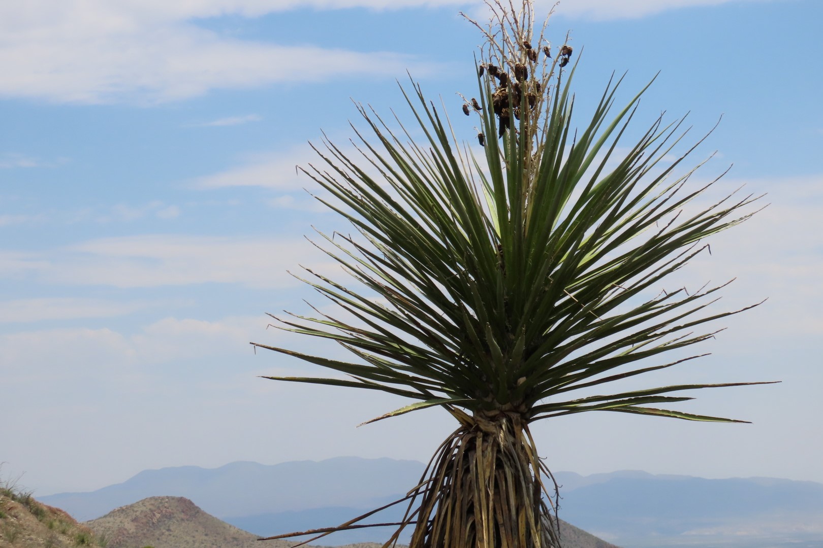 Big Bend National Park Chisos Basin Visitor Center in Texas 17 of 19 (#1593)
