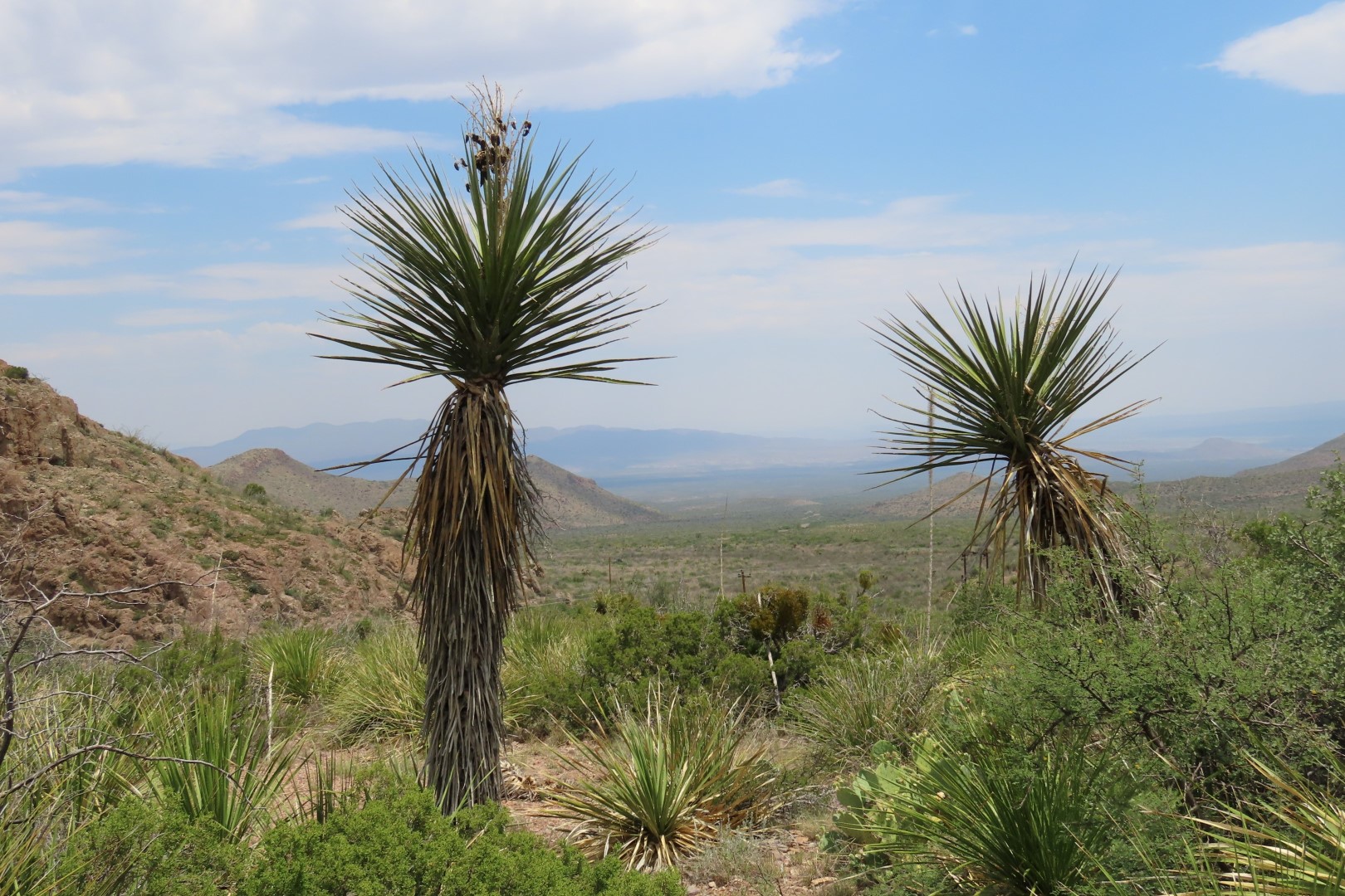 Big Bend National Park Chisos Basin Visitor Center in Texas 18 of 19 (#1595)