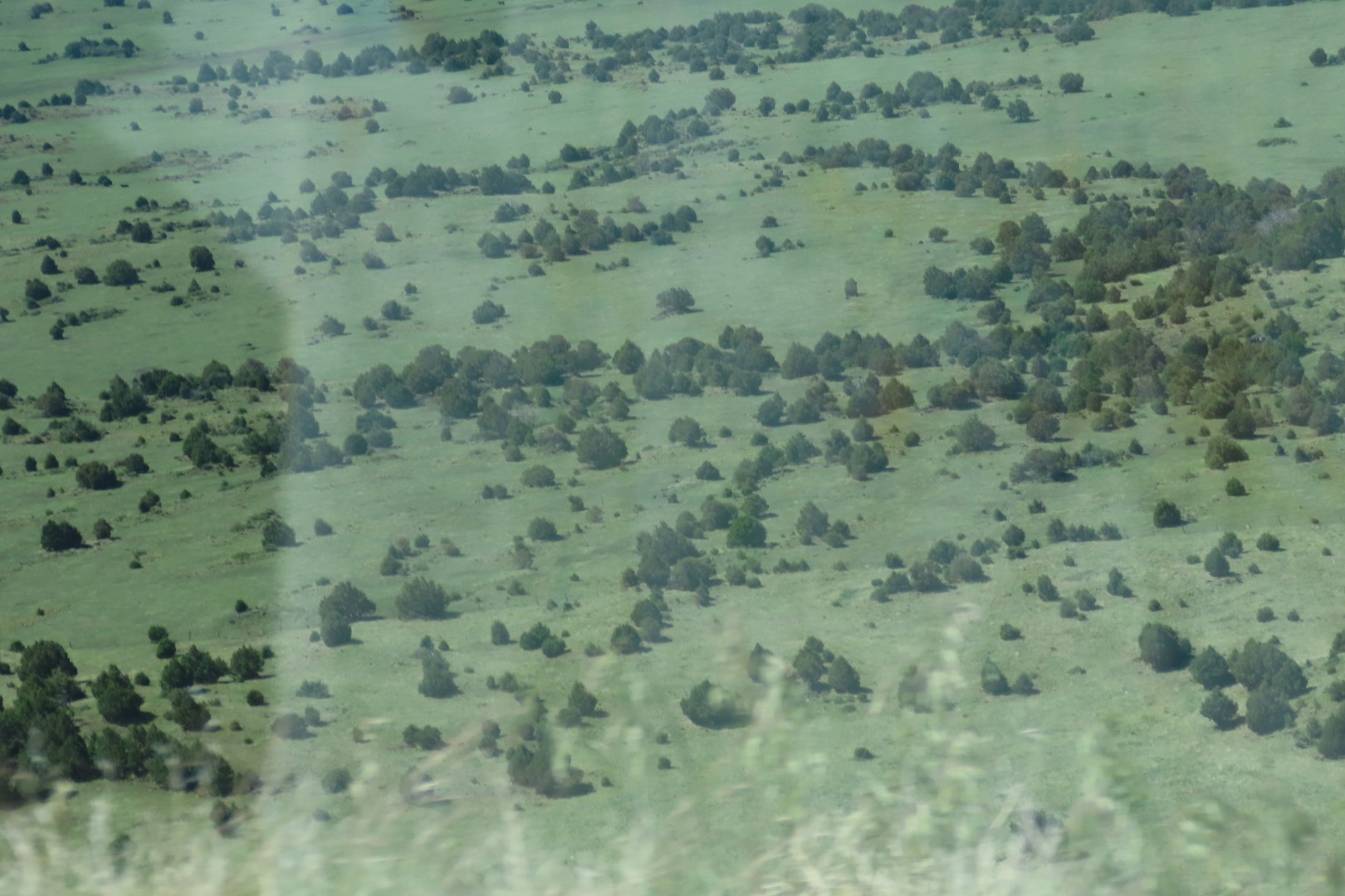 Capulin Volcano National Park in northeast New Mexico  2 of 28 (#1706)