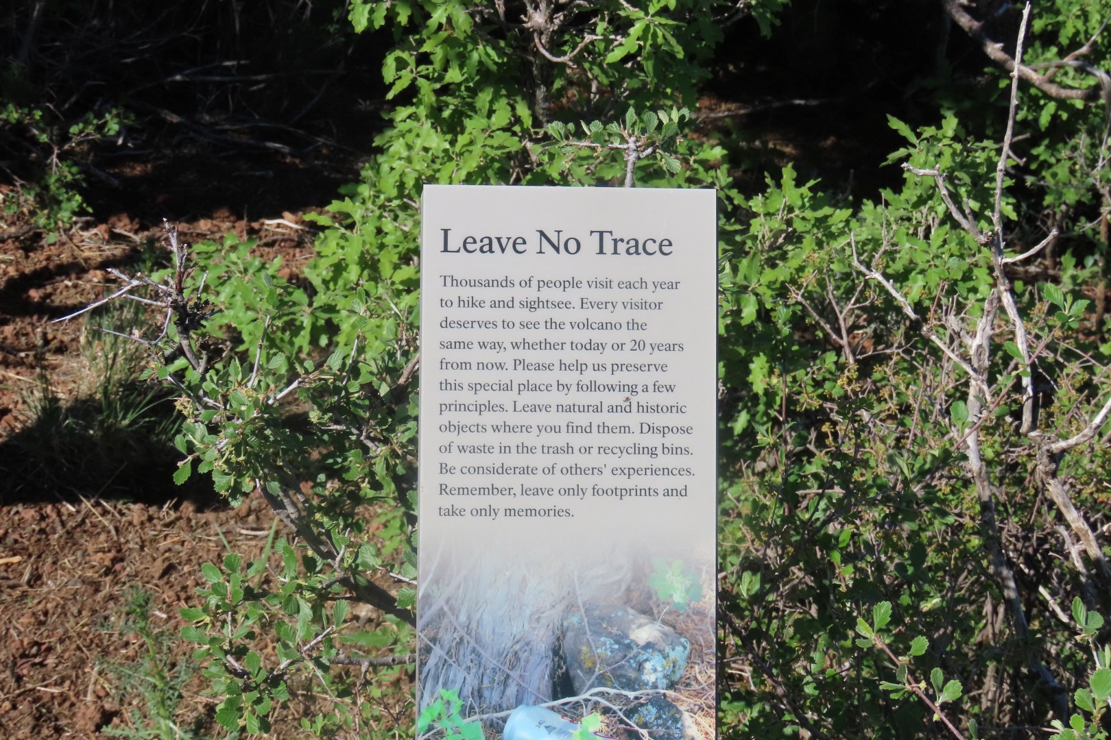 Capulin Volcano National Park in northeast New Mexico 17 of 28 (#1721)