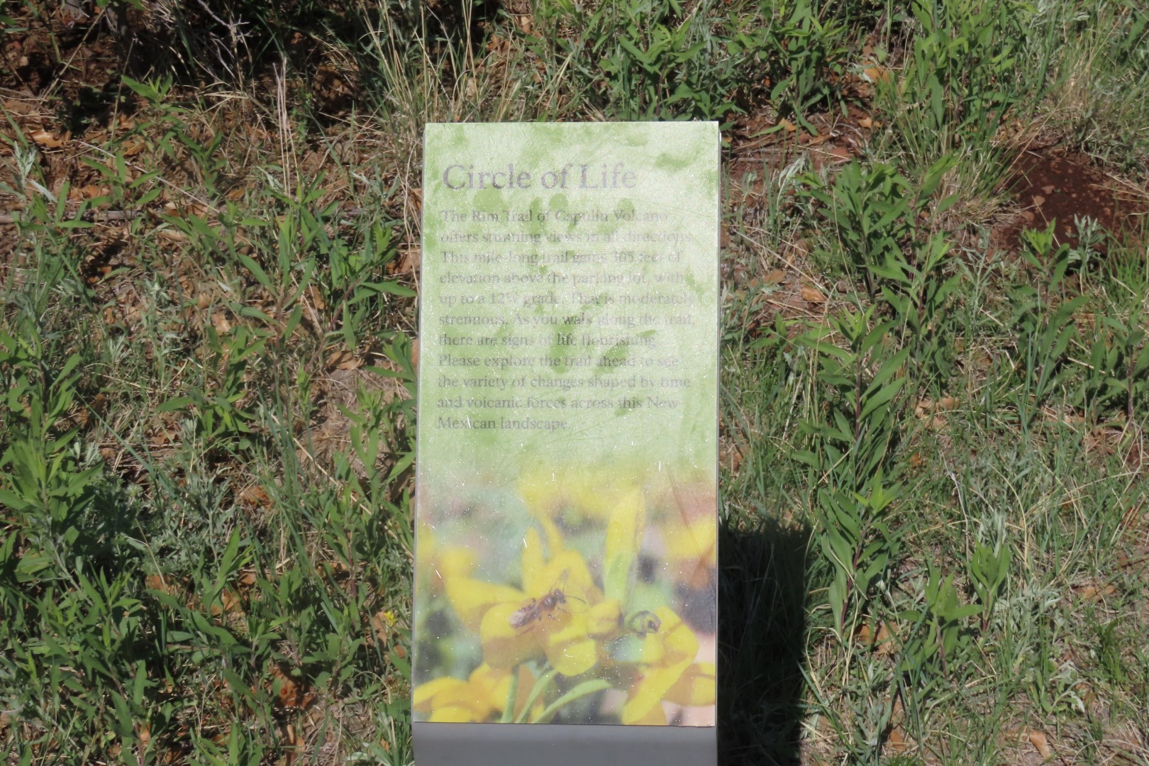 Capulin Volcano National Park in northeast New Mexico 23 of 28 (#1727)