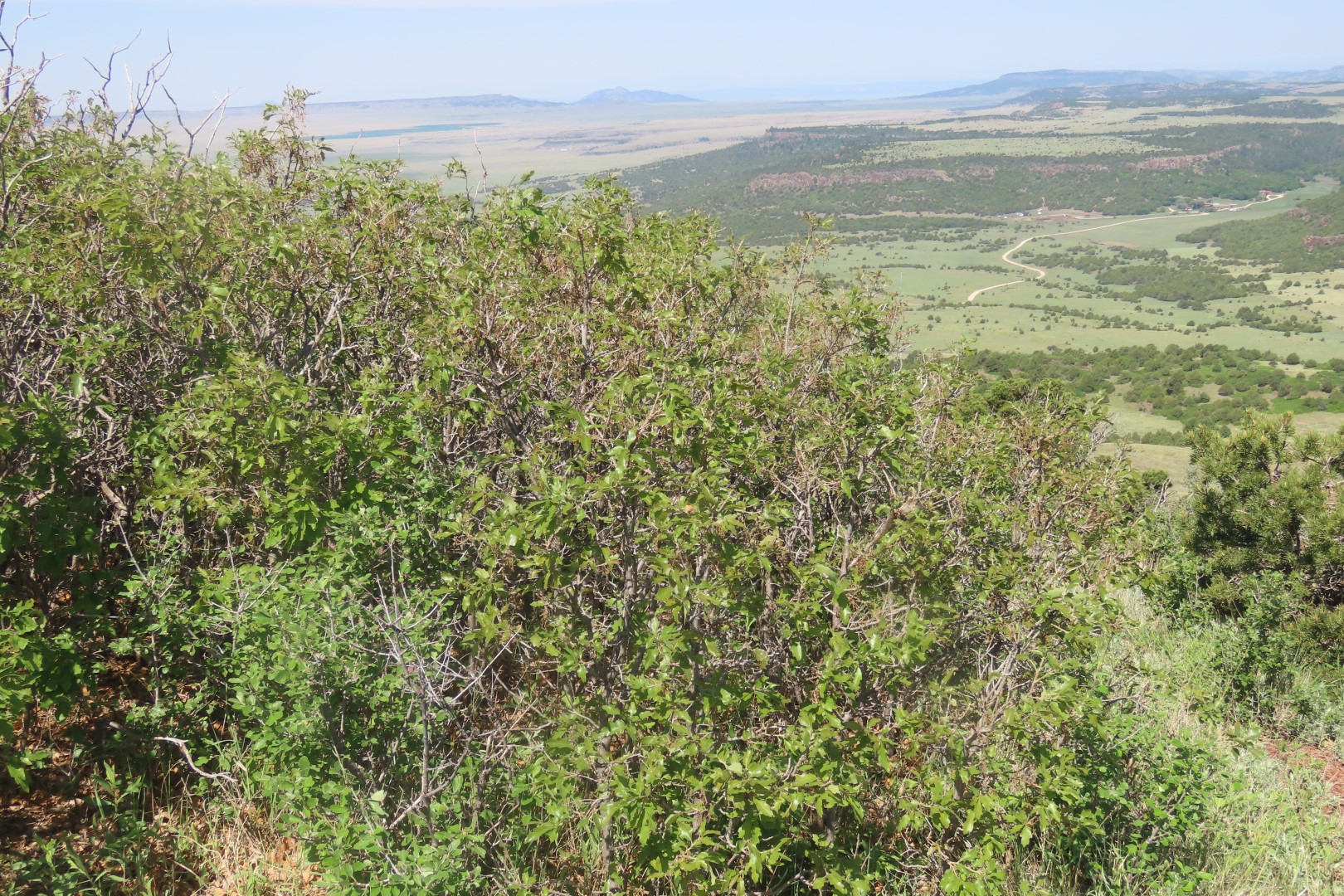 Capulin Volcano National Park in northeast New Mexico 24 of 28 (#1728)