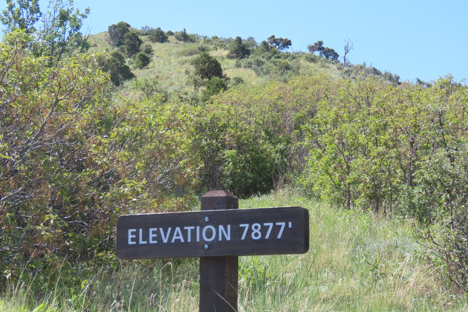 Capulin Volcano National Park in northeast New Mexico 28 of 28 (#1732)