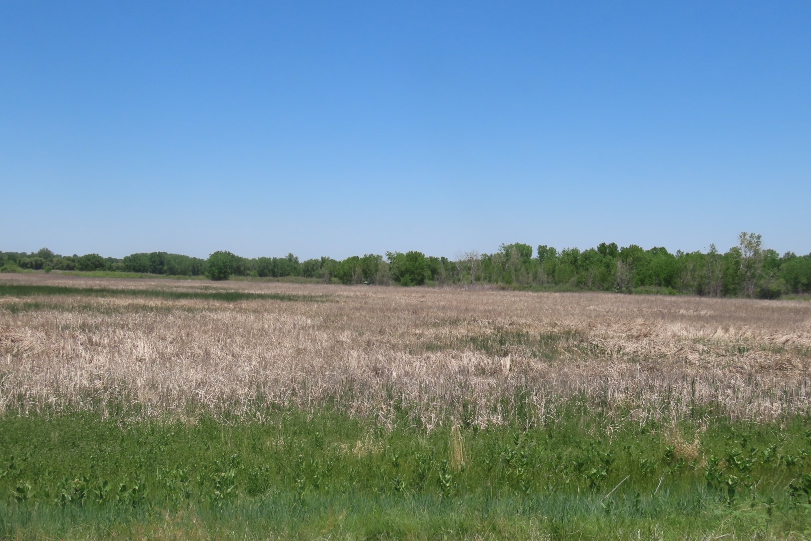 Bents Fort National Park in southeast Colorado 35 of 35 (#1774)