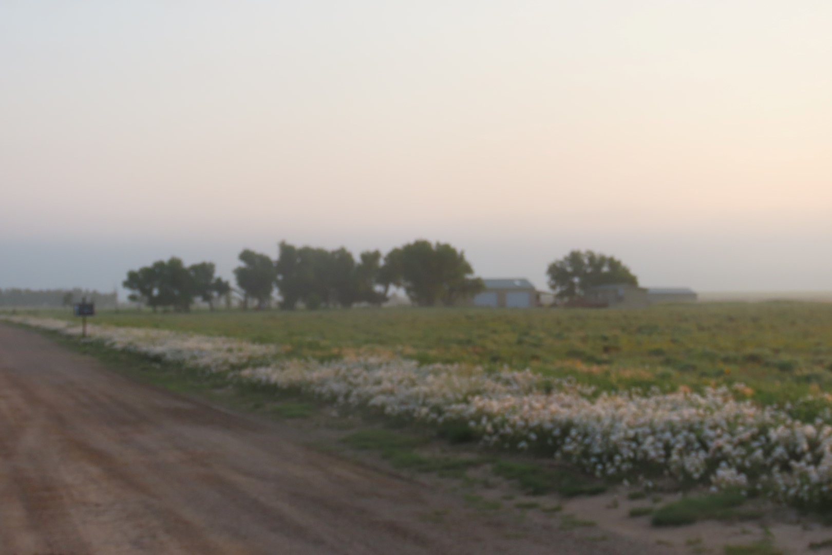 Sand Creek National Park in southeast Colorado  5 of  9 (#1782)