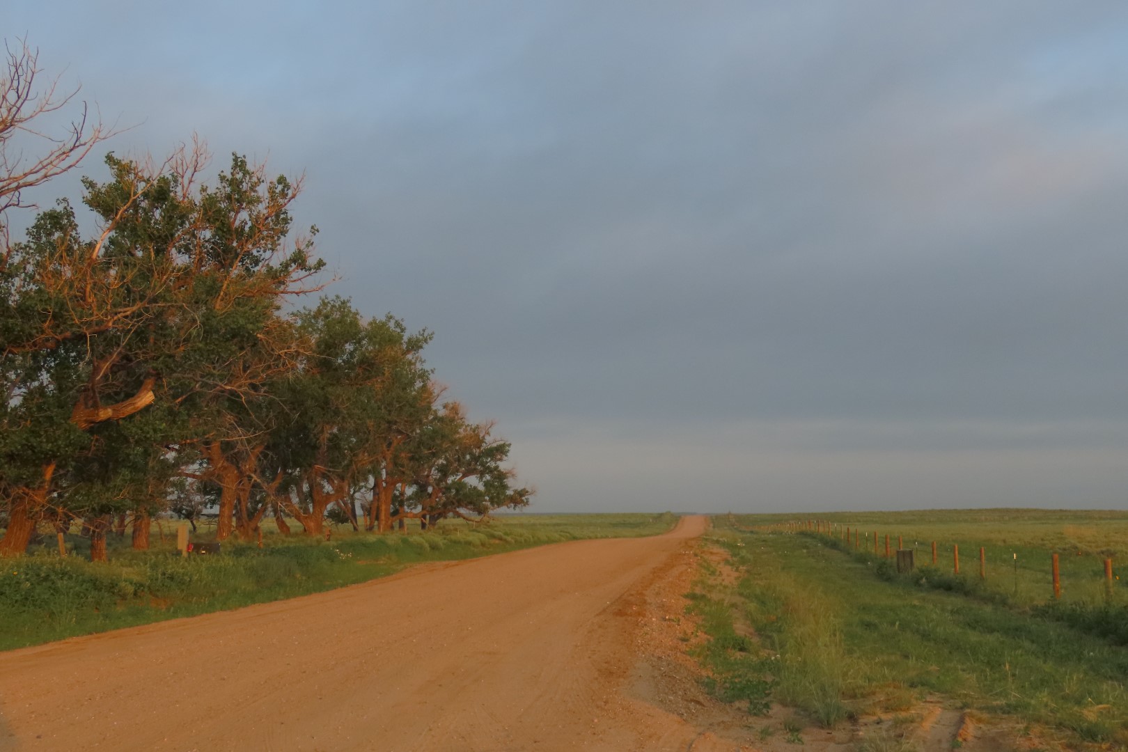 Sand Creek National Park in southeast Colorado  8 of  9 (#1786)