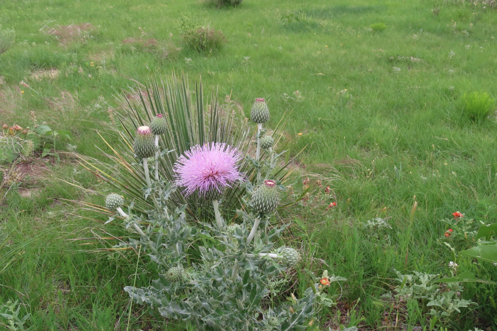Little Jerusalem Badlands State Park in western Kansas 12 of 29 (#1796)