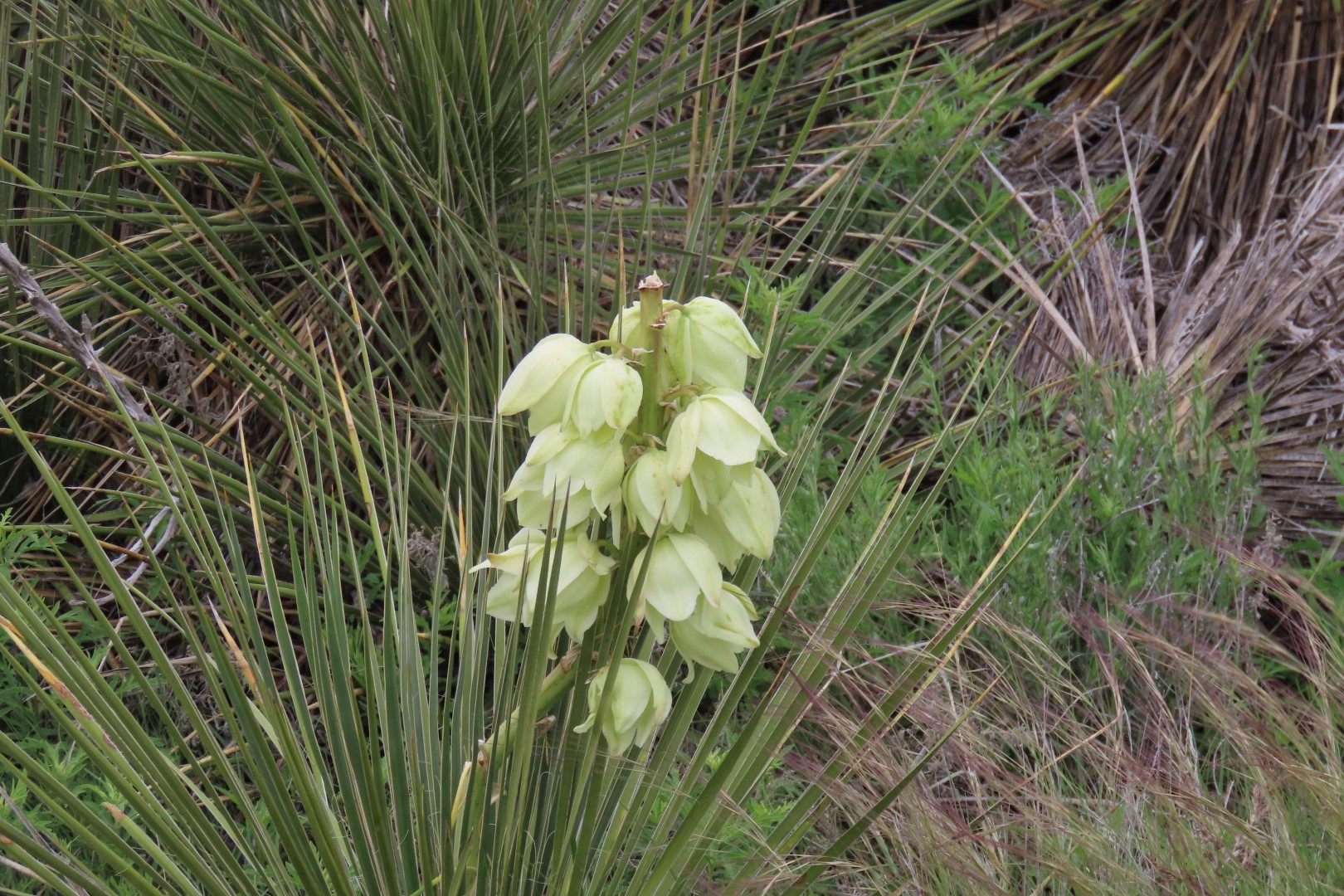 Little Jerusalem Badlands State Park in western Kansas 15 of 29 (#1799)
