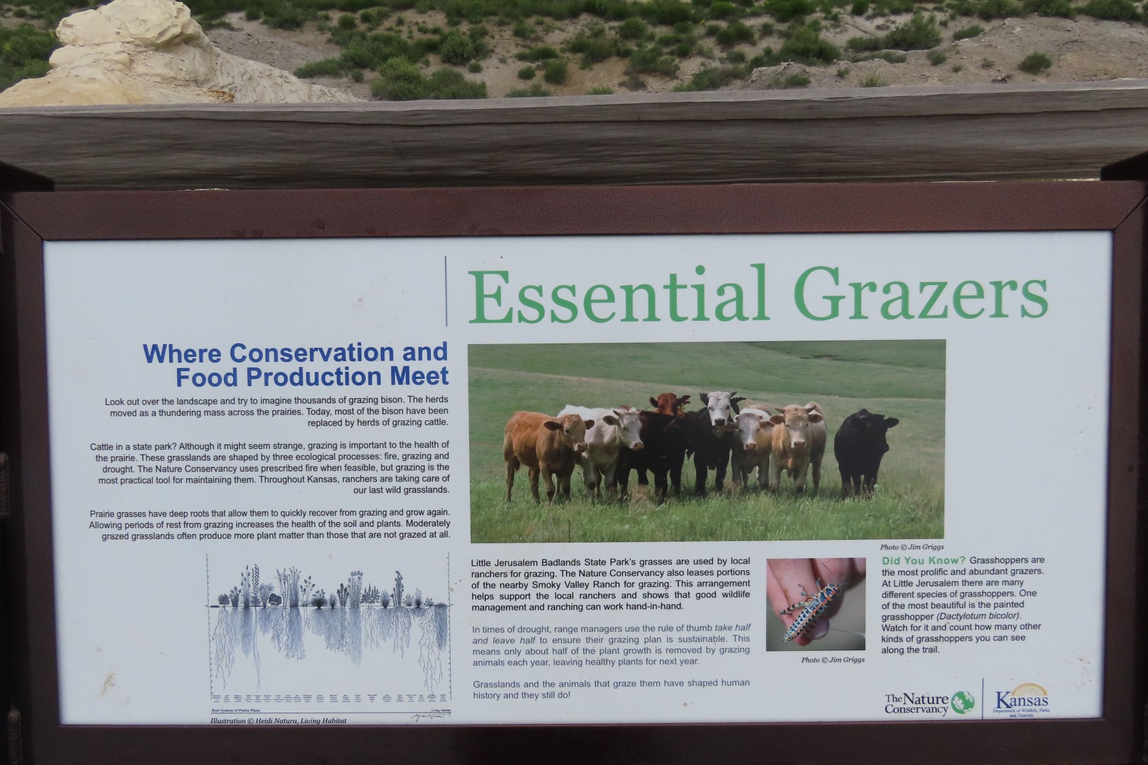 Little Jerusalem Badlands State Park in western Kansas  7 of 29 (#1805)