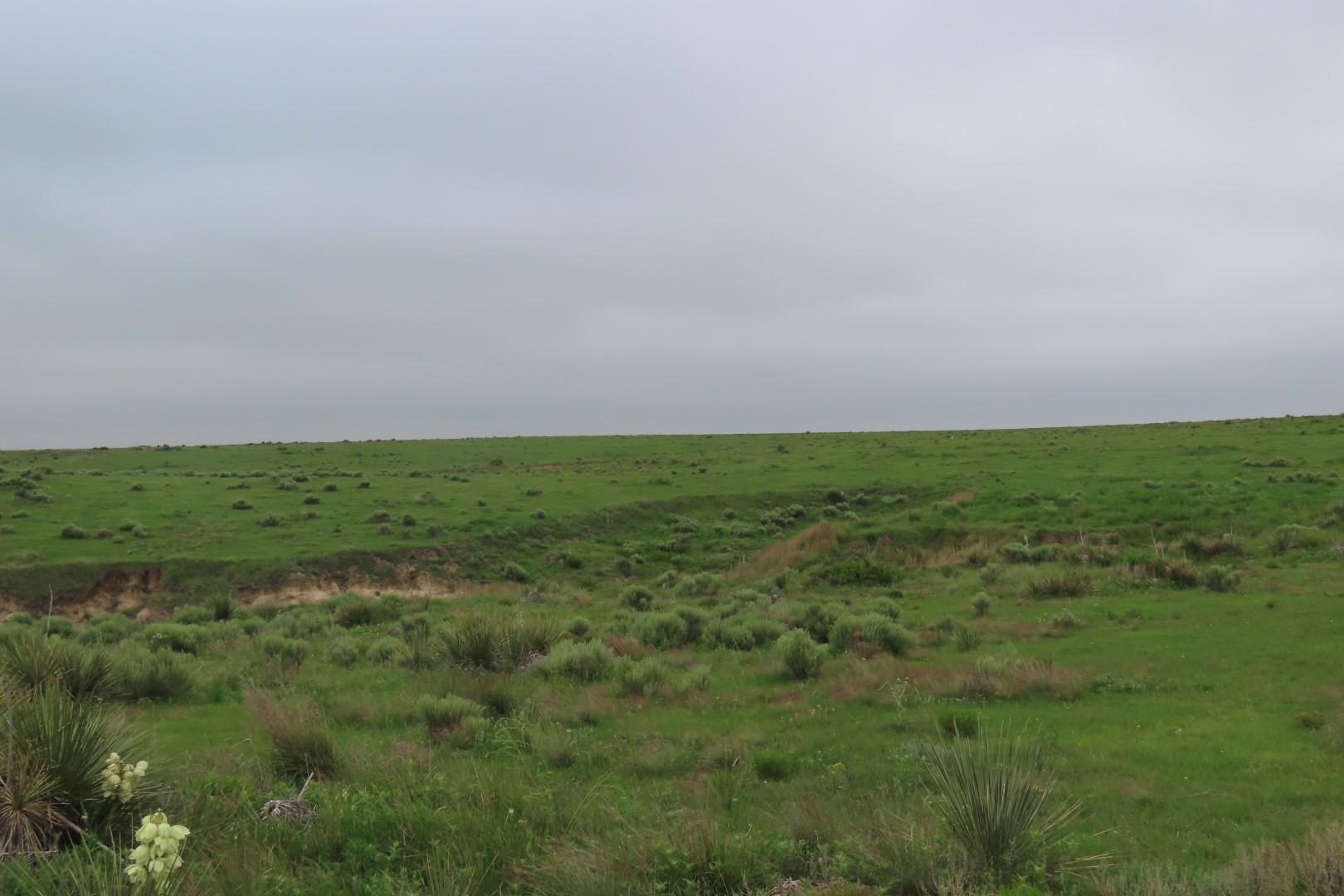 Little Jerusalem Badlands State Park in western Kansas 29 of 29 (#1815)
