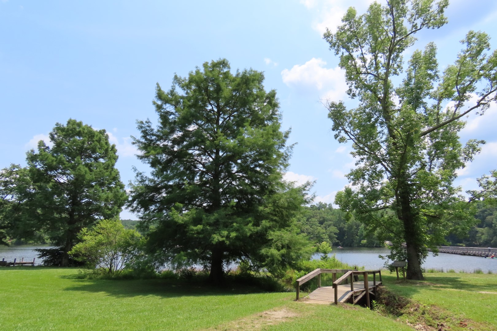 Lake at Chickasaw State Park in Tennessee  1 of 19 (#1852)