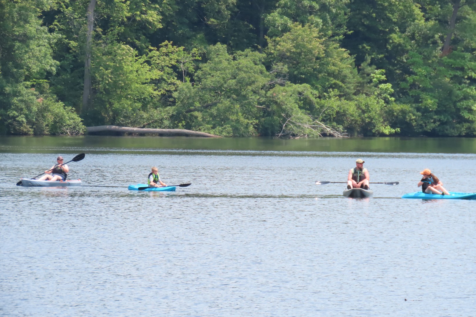 Lake at Chickasaw State Park in Tennessee  2 of 19 (#1853)