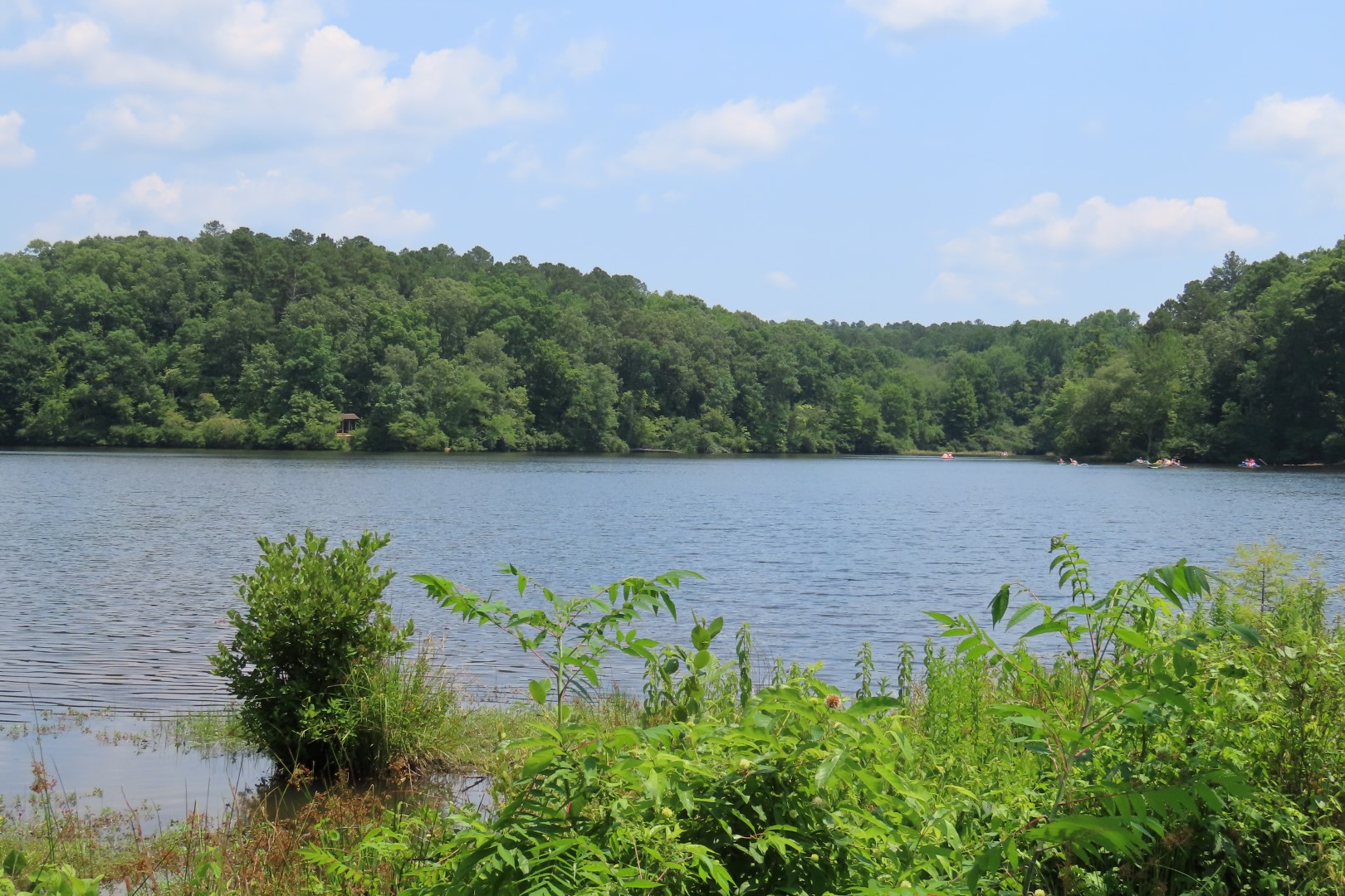 Lake at Chickasaw State Park in Tennessee 17 of 19 (#1869)