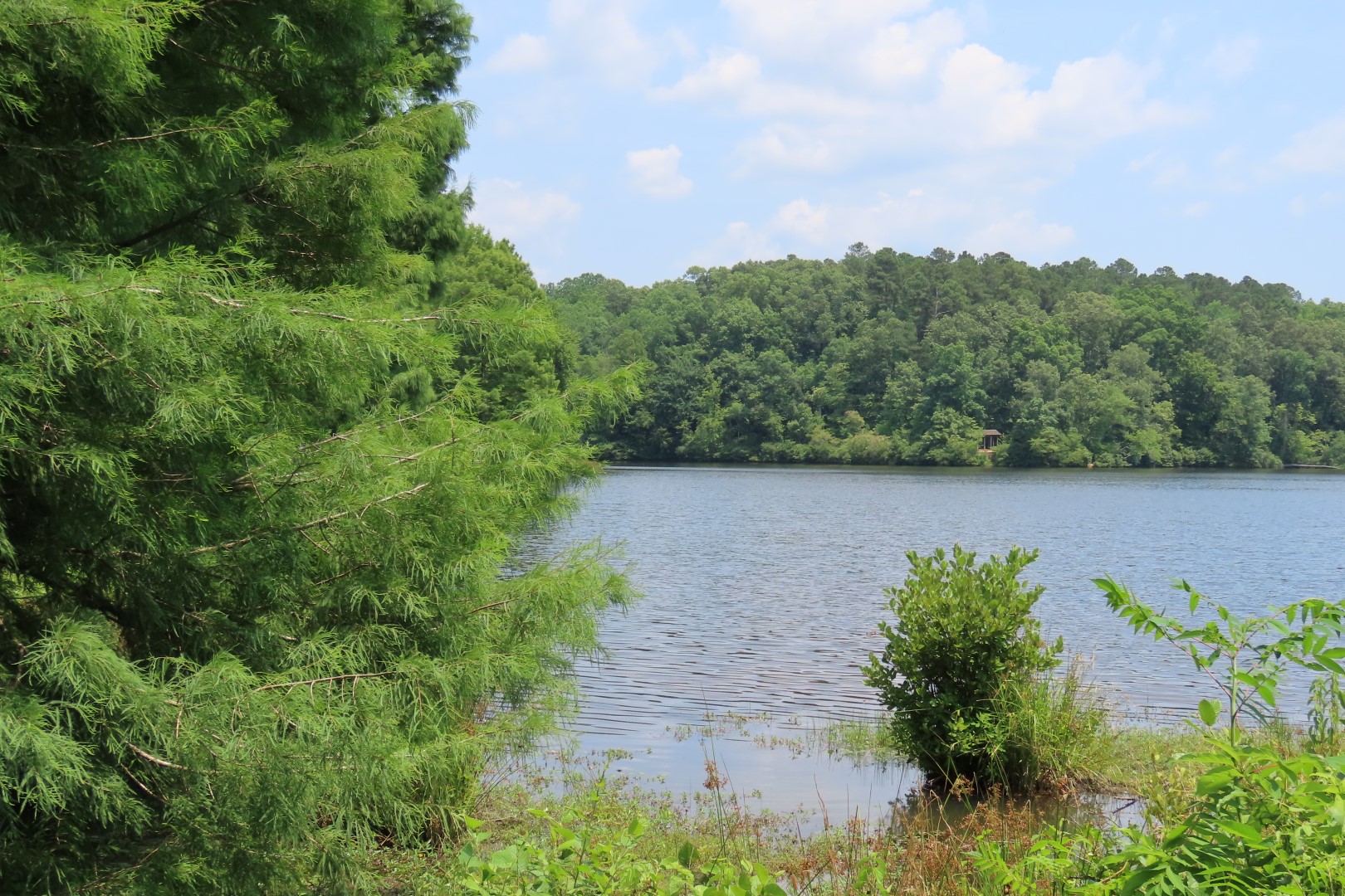 Lake at Chickasaw State Park in Tennessee 18 of 19 (#1870)