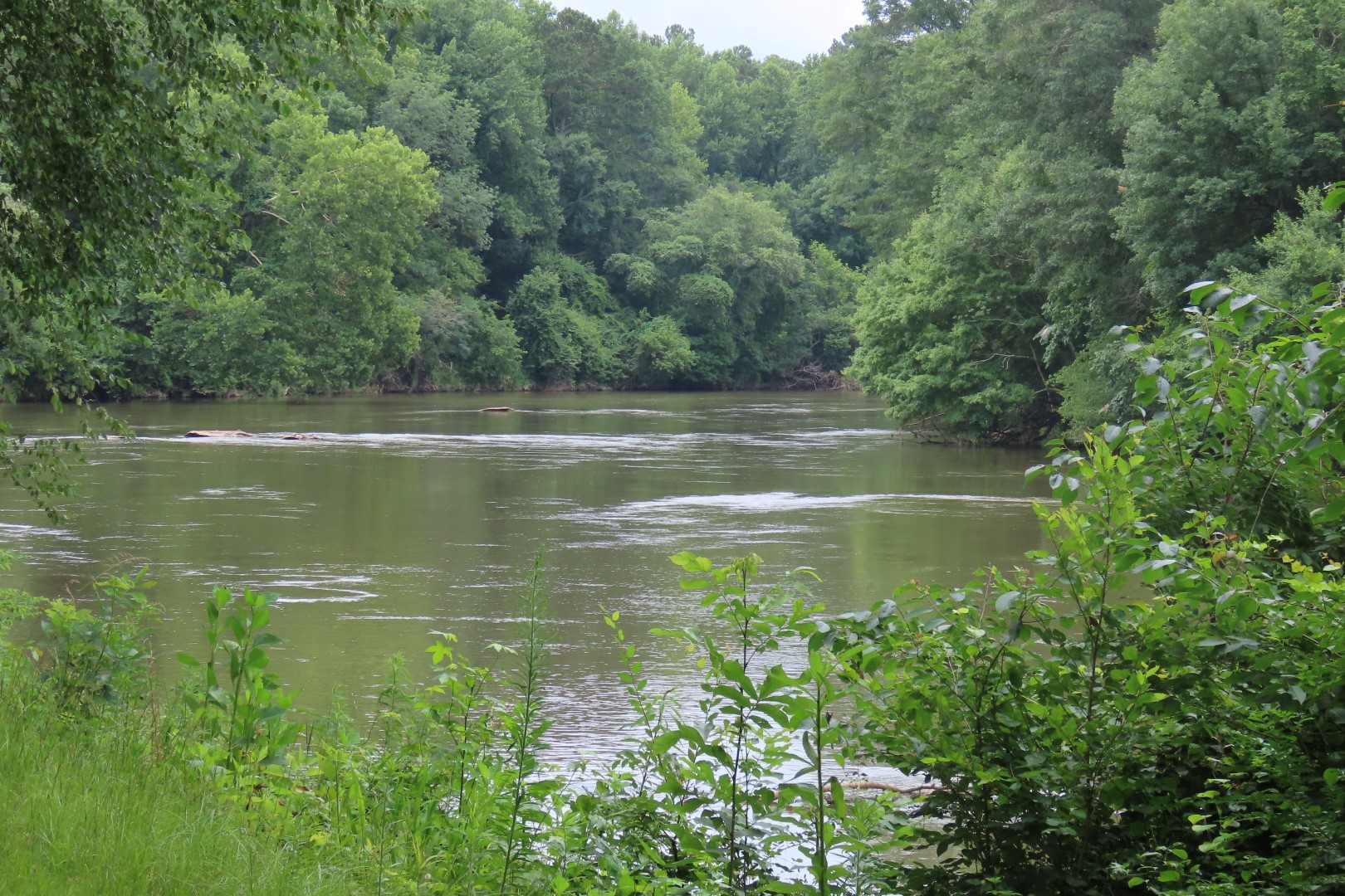 Horseshoe Bend National Battlefield 21 of 27 (#1912)