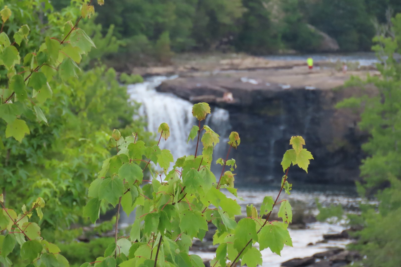 Sites in the Little River Canyon National Park in Tennessee  4 of 19 (#1922)