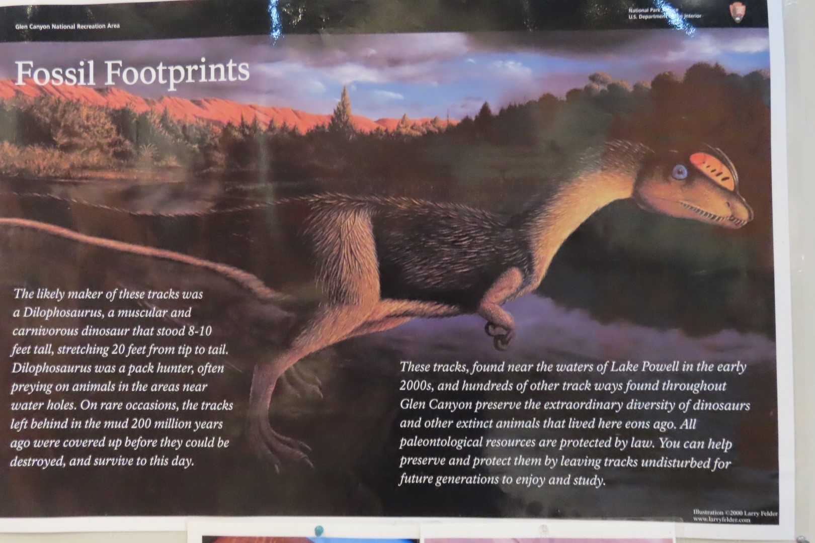 Glen Canyon Visitor Center in Utah  8 of 23 (#1972)