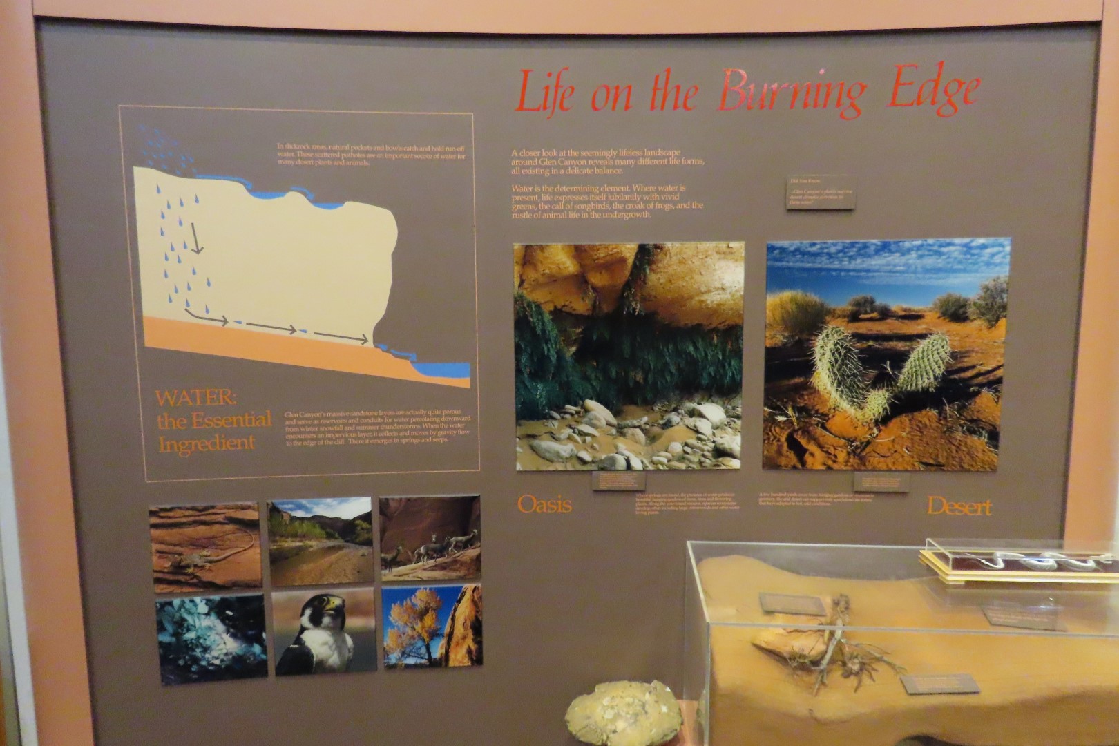 Glen Canyon Visitor Center in Utah 18 of 23 (#1982)