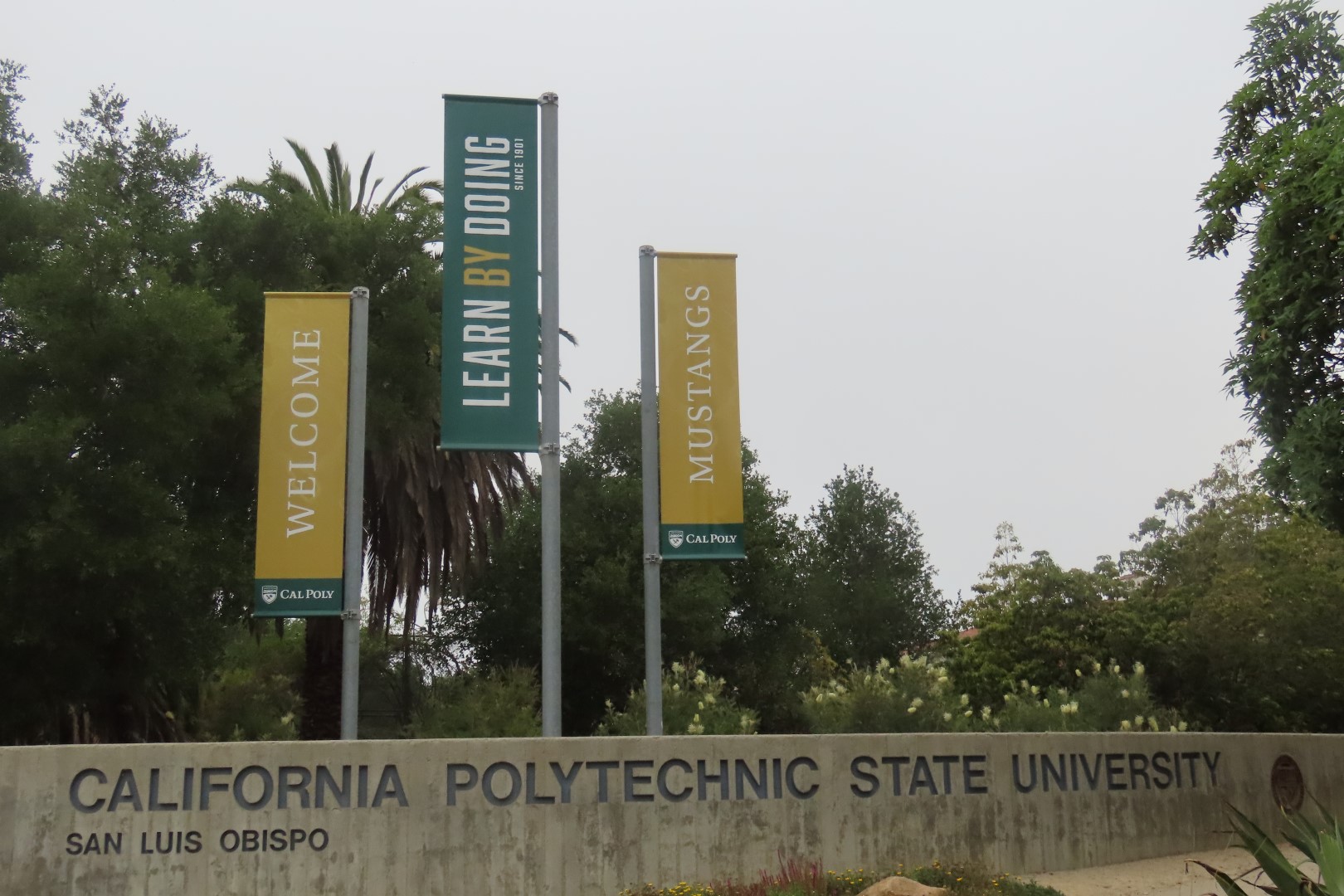 California Polytechnic Institute State University  6 of  6 (#2048)