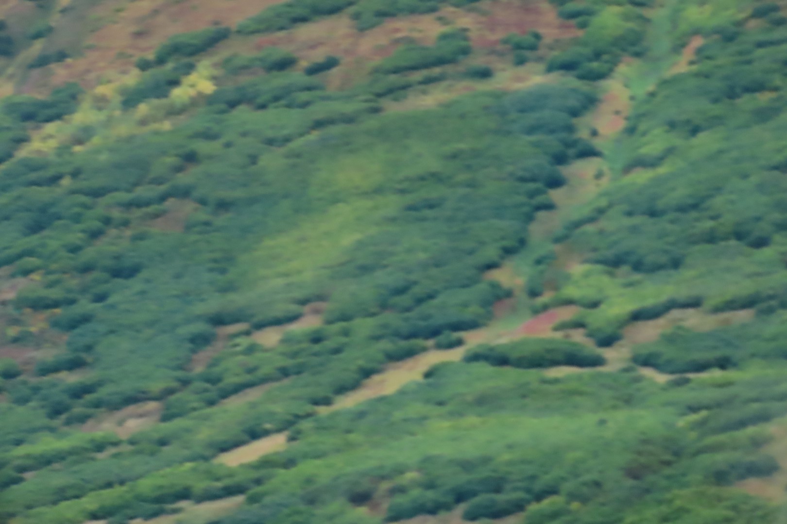 Along the highways between Anchorage and Seward  8 of 21 (#2181)