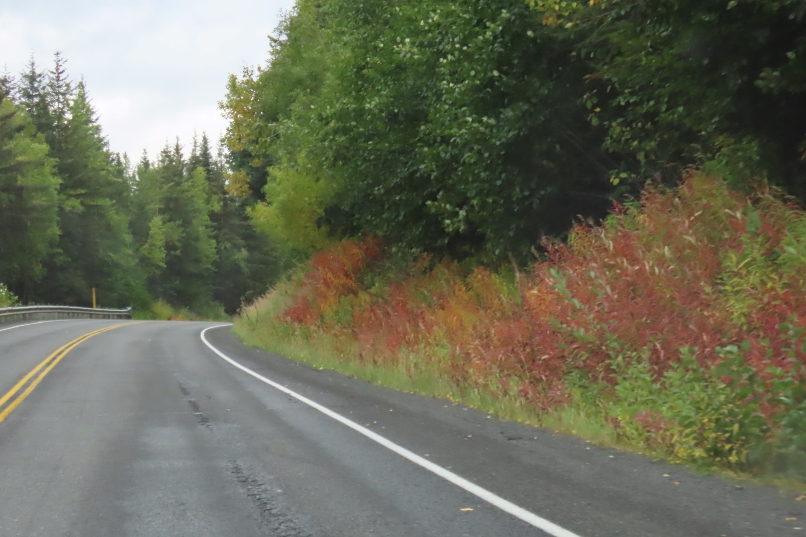 Along the highways between Anchorage and Seward 12 of 21 (#2188)