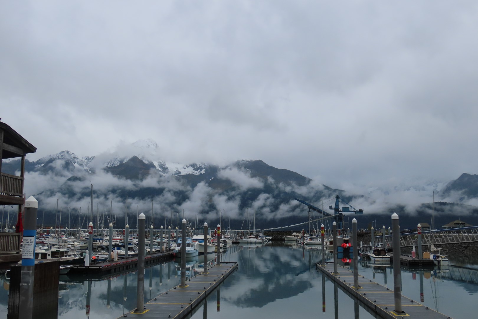 Kenai Fjords National Park south of Anchorage  4 of 13 (#2192)