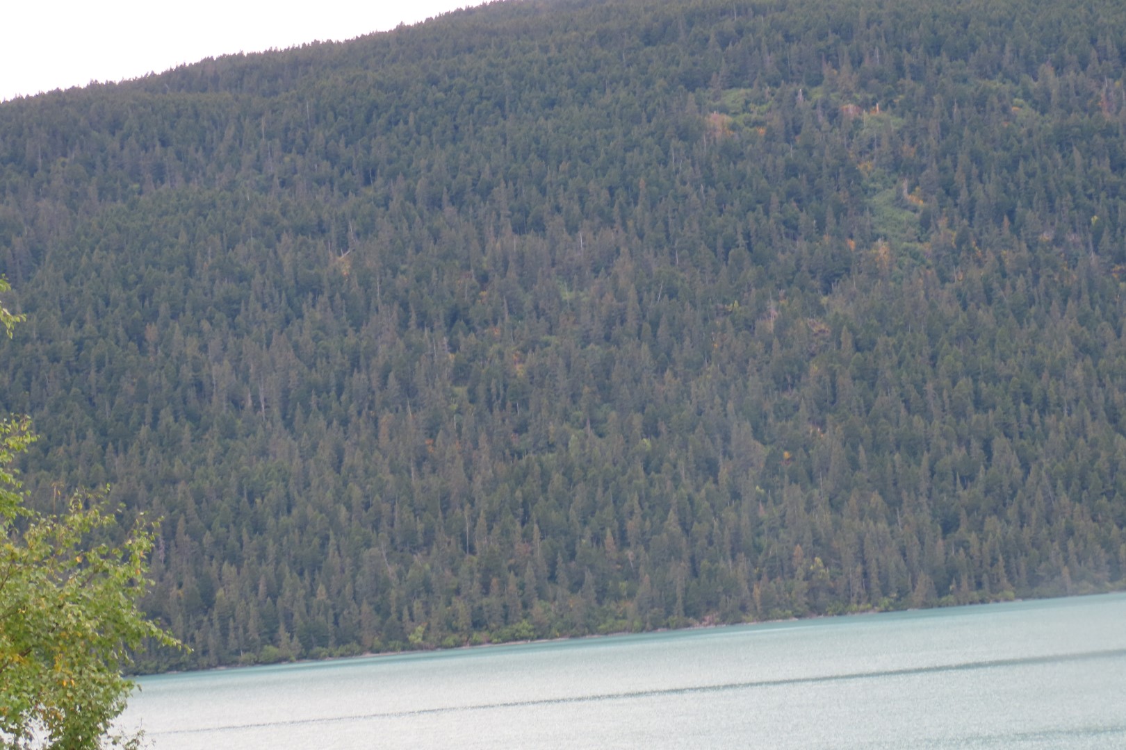 Along the highways between Anchorage and Seward 15 of 21 (#2204)