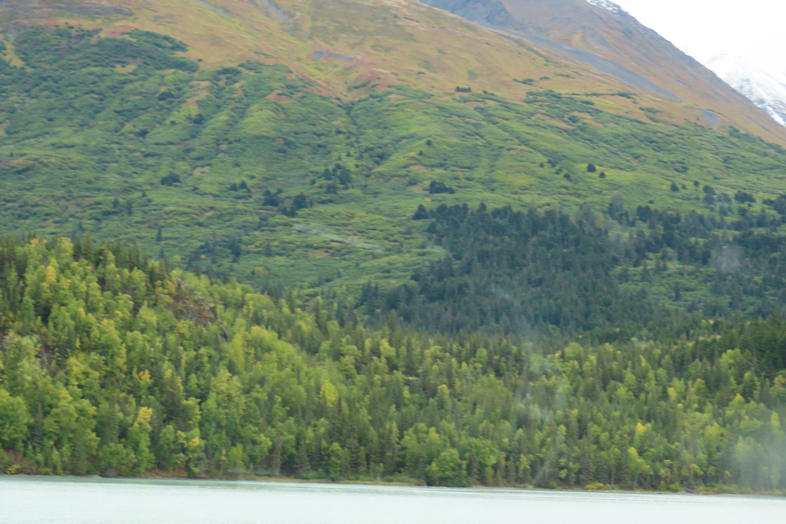 Along the highways between Anchorage and Seward 16 of 21 (#2207)