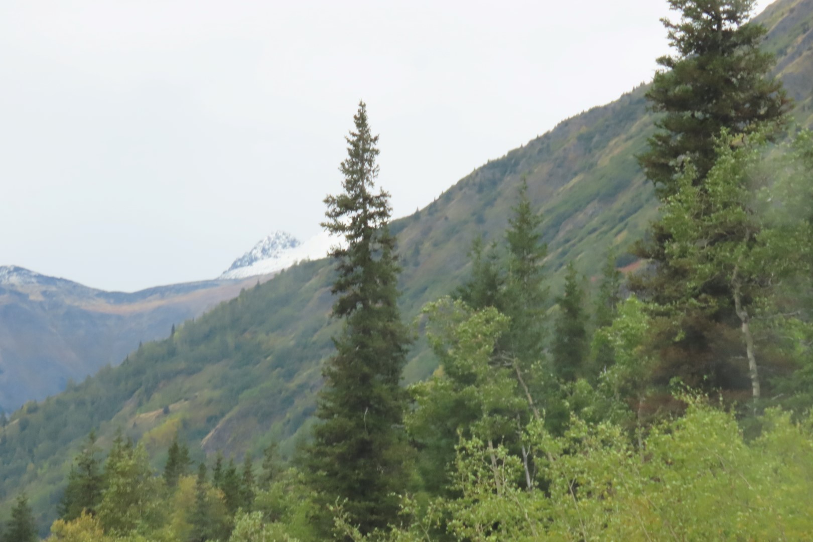 Along the highways between Anchorage and Seward 17 of 21 (#2211)