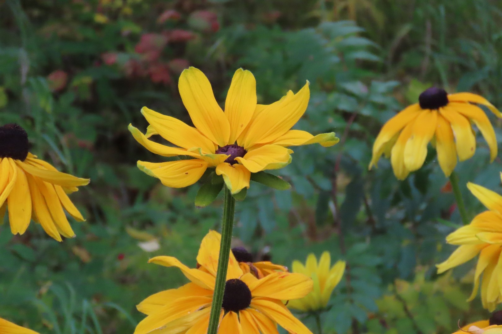 Veterans Memorial in Centennial Park in Anchorage Alaska  4 of  5 (#2252)