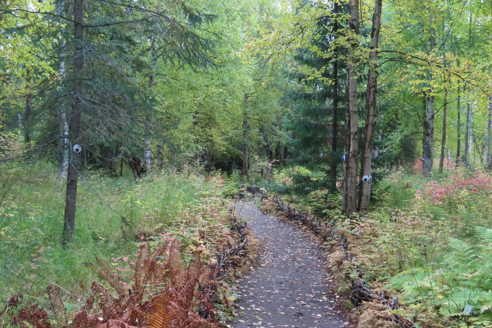 Alaska Botanical Gardens in Anchorage Alaska  7 of 47 (#2255)