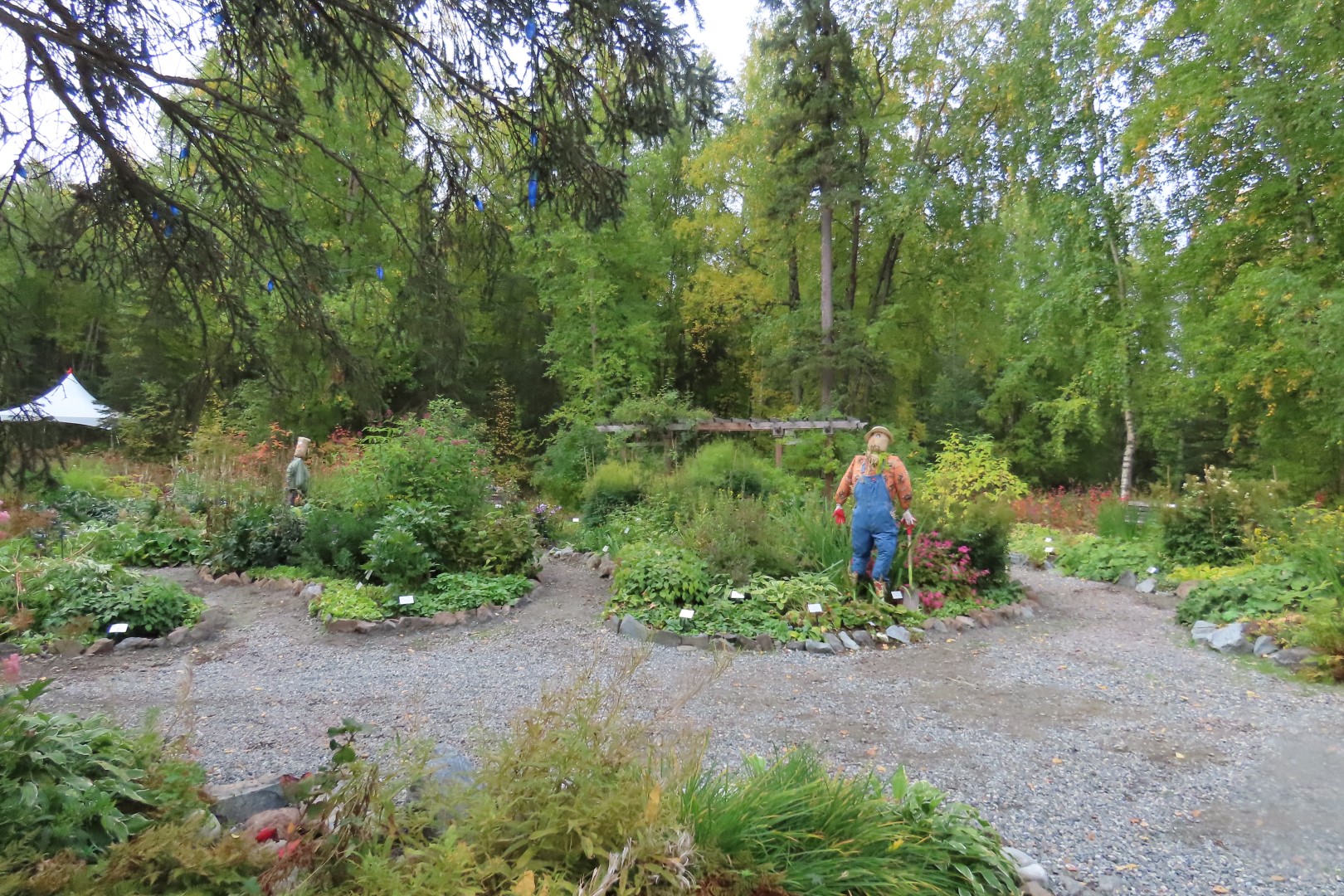 Alaska Botanical Gardens in Anchorage Alaska  8 of 47 (#2256)