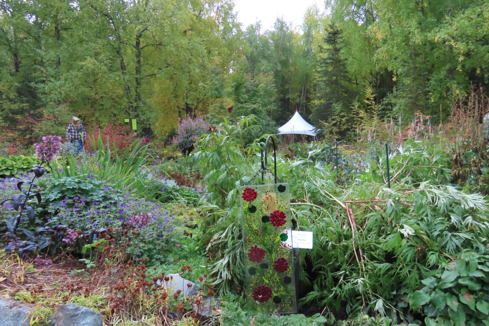 Alaska Botanical Gardens in Anchorage Alaska 10 of 47 (#2258)