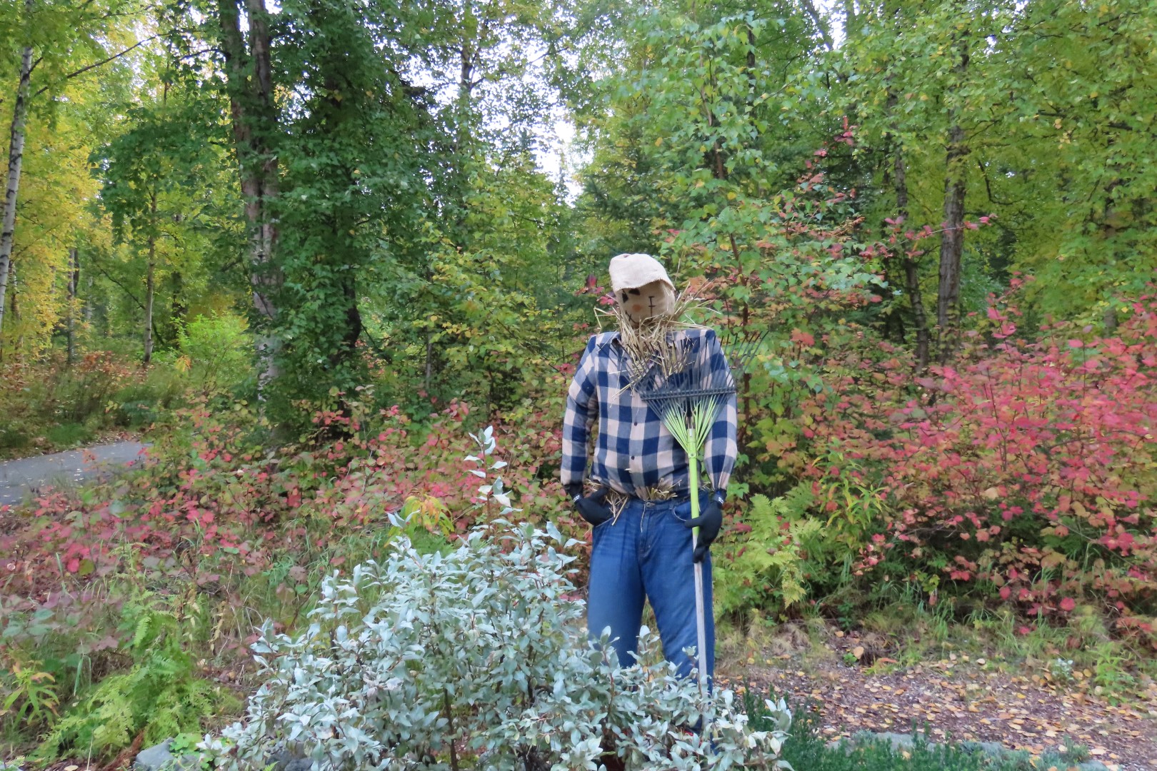 Alaska Botanical Gardens in Anchorage Alaska 12 of 47 (#2260)