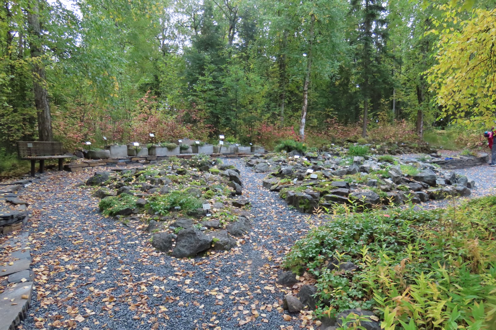 Alaska Botanical Gardens in Anchorage Alaska 13 of 47 (#2261)