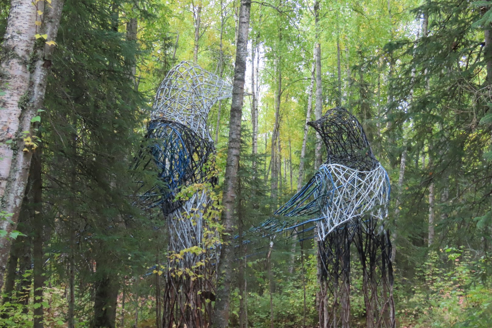 Alaska Botanical Gardens in Anchorage Alaska 15 of 47 (#2263)