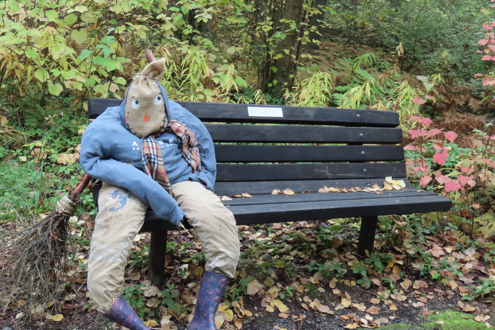 Alaska Botanical Gardens in Anchorage Alaska 16 of 47 (#2264)