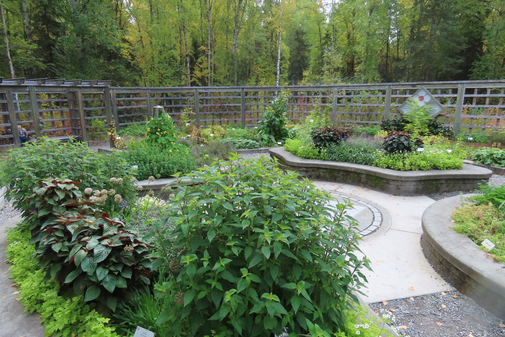 Alaska Botanical Gardens in Anchorage Alaska 21 of 47 (#2269)