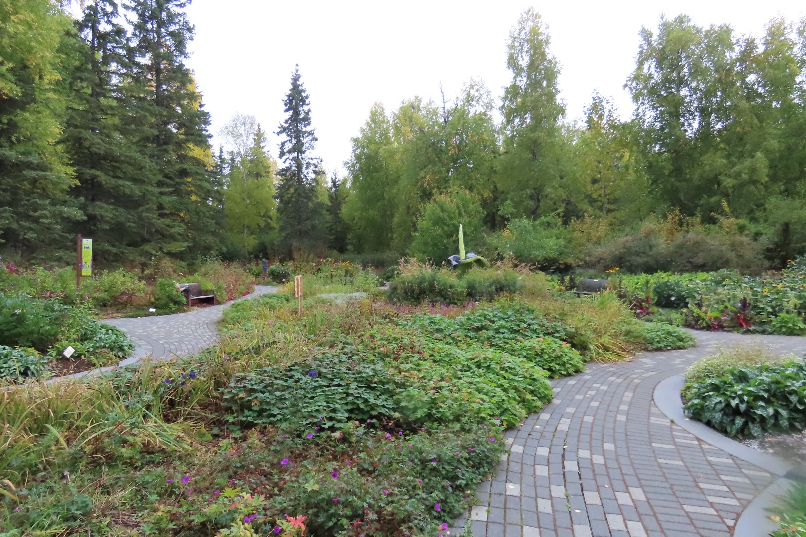 Alaska Botanical Gardens in Anchorage Alaska 25 of 47 (#2273)