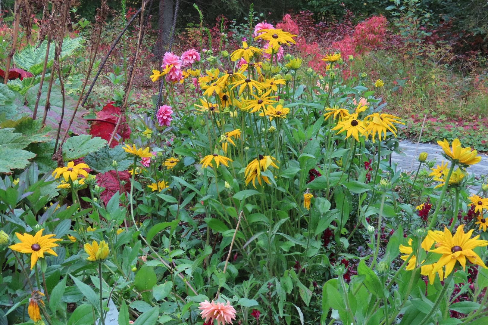 Alaska Botanical Gardens in Anchorage Alaska 29 of 47 (#2277)