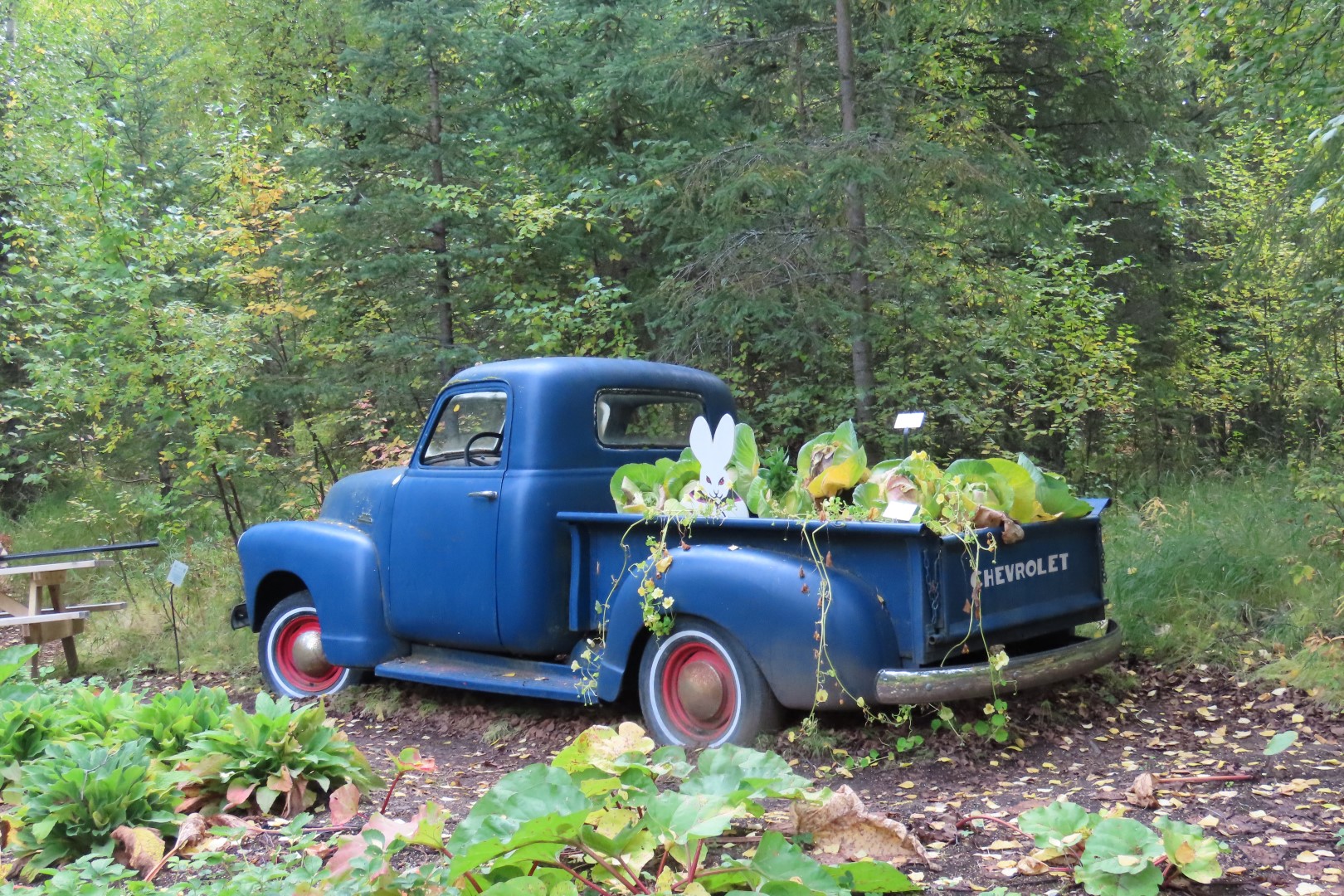 Alaska Botanical Gardens in Anchorage Alaska 35 of 47 (#2283)