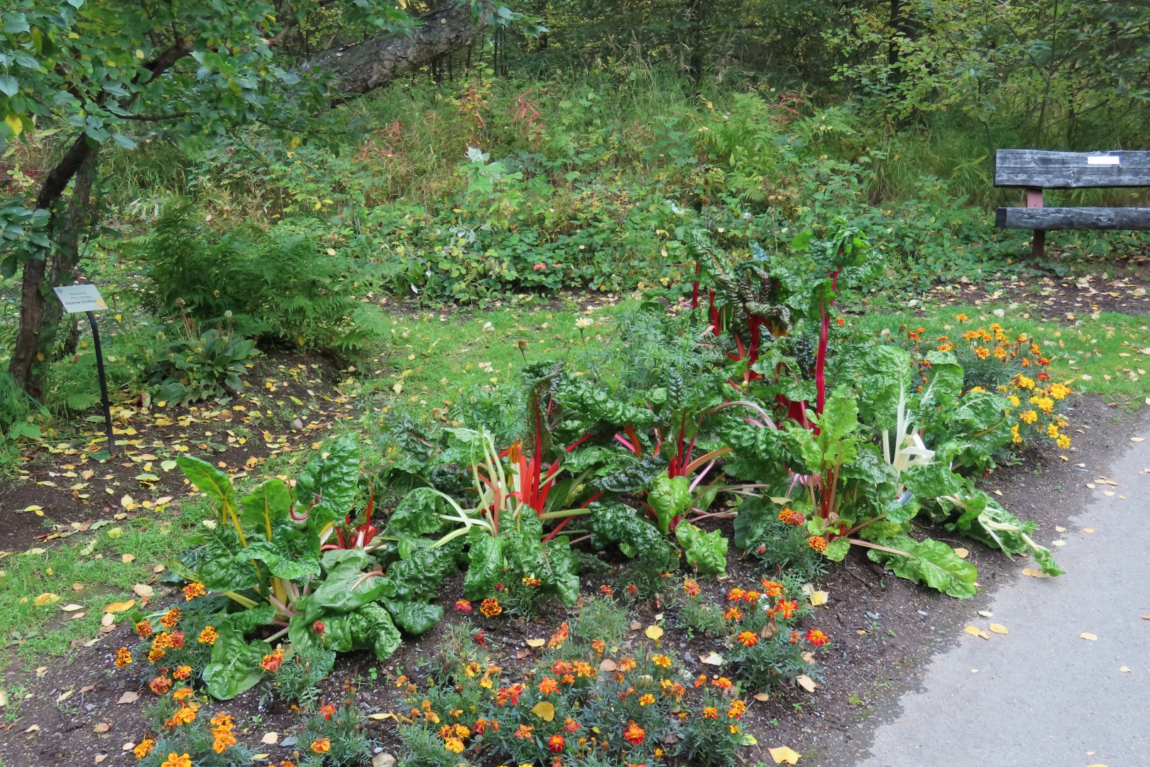 Alaska Botanical Gardens in Anchorage Alaska 36 of 47 (#2284)