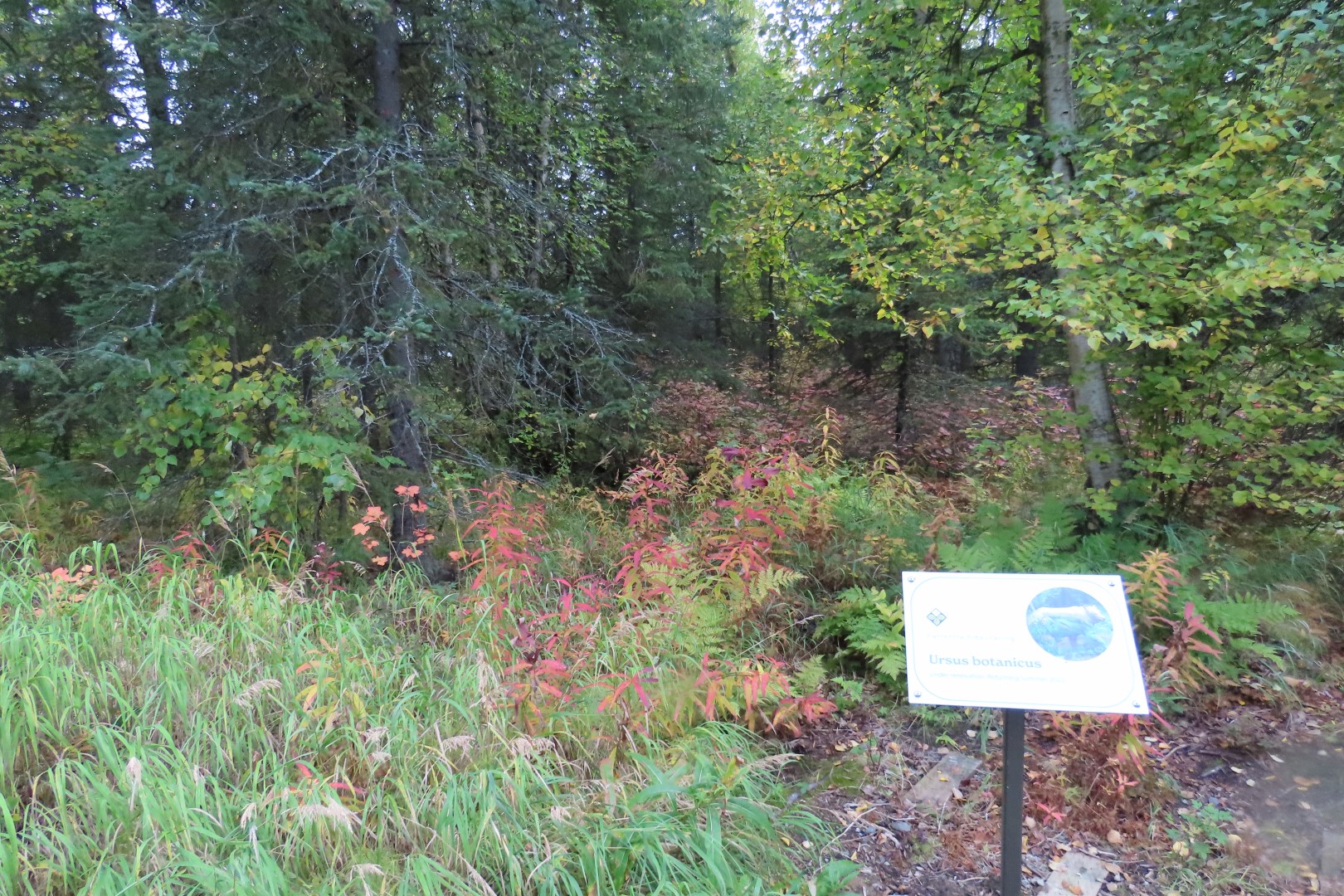 Alaska Botanical Gardens in Anchorage Alaska 38 of 47 (#2286)