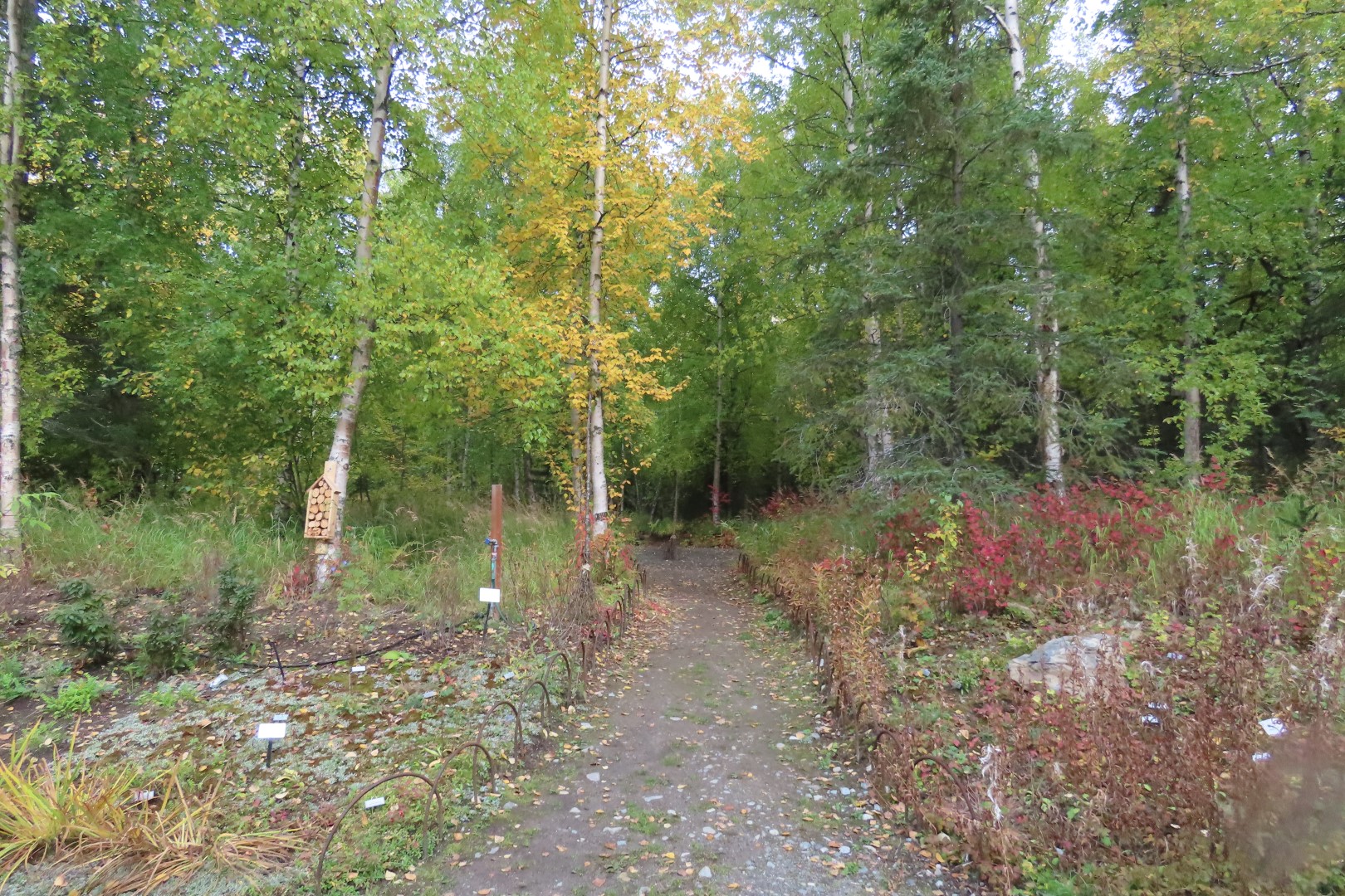 Alaska Botanical Gardens in Anchorage Alaska 40 of 47 (#2288)