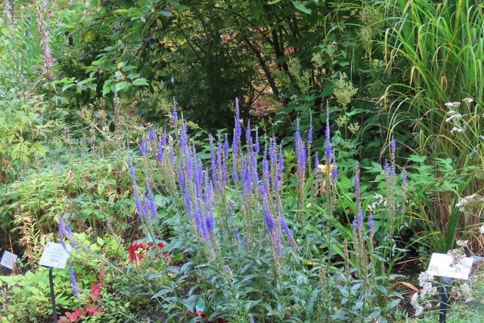 Alaska Botanical Gardens in Anchorage Alaska 43 of 47 (#2291)