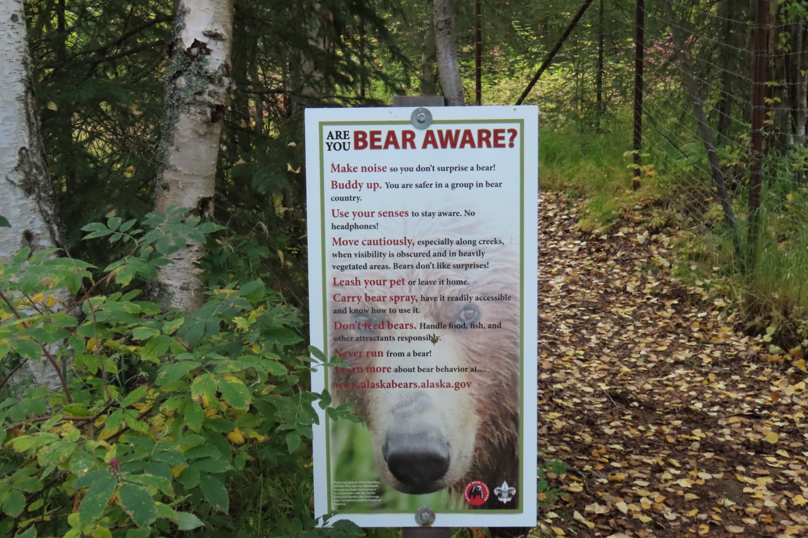 Alaska Botanical Gardens in Anchorage Alaska  2 of 47 (#2296)