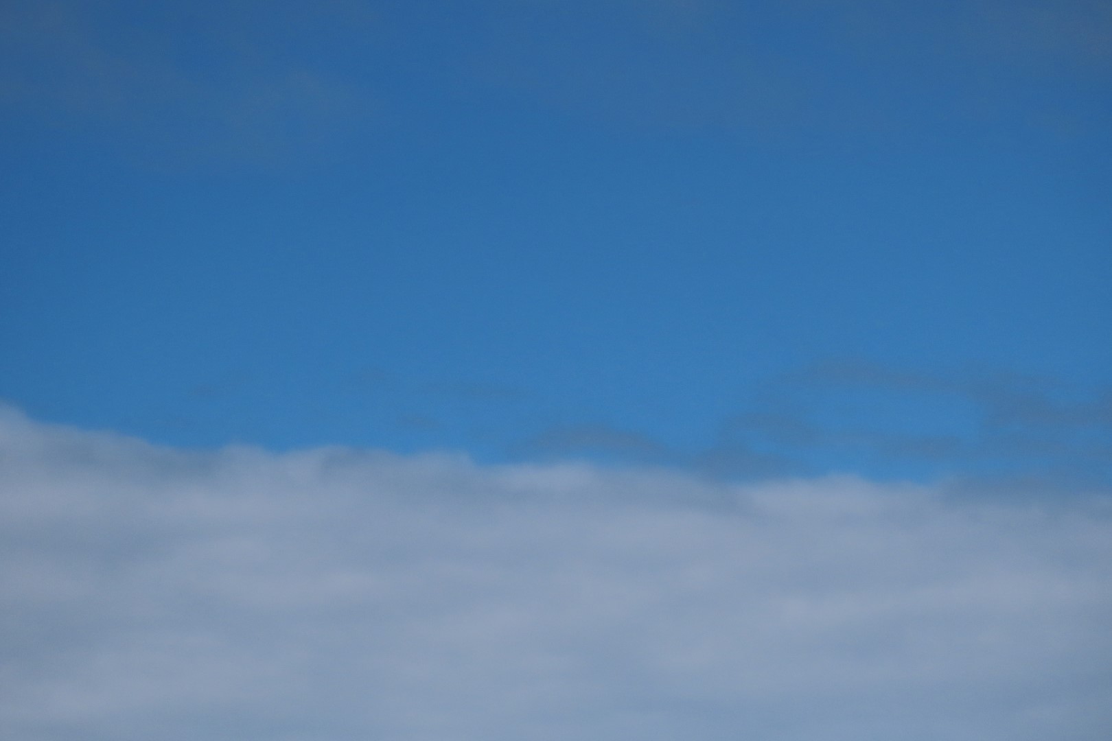 Beluga Point site on Seward Highway  3 of  6 (#2304)